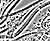 draad.jpg (4069 bytes)